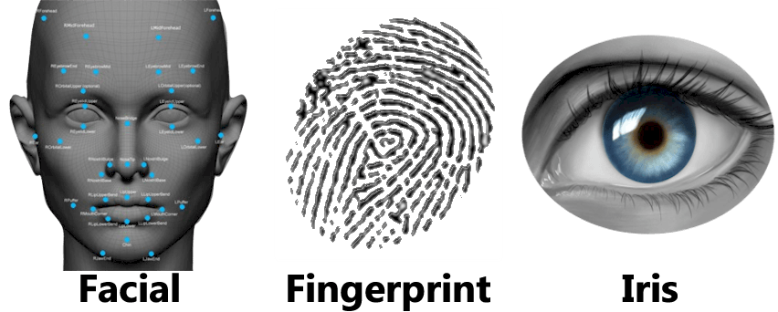 raccolta biometrica