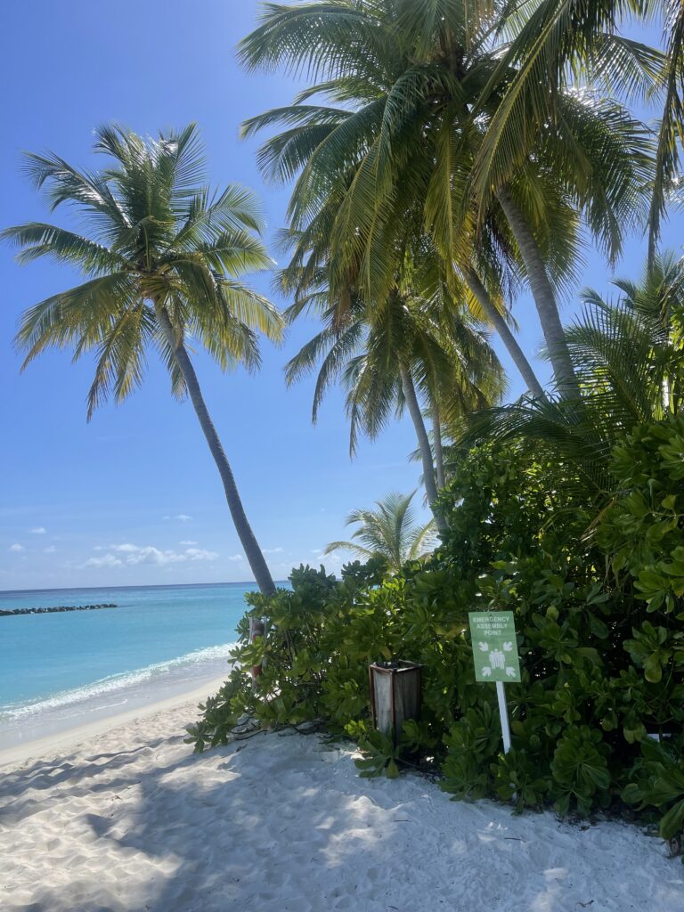 emergency assembly point on the beach