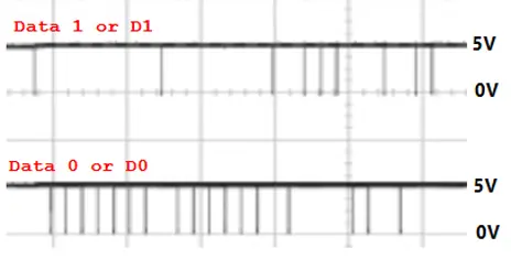Oscilloscope trace comparing the D1 and D0 Wiegand data lines