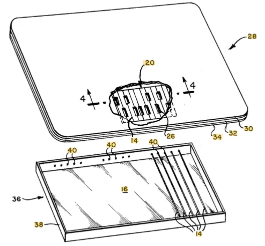 Patent drawing from US4187981A showing two parallel rows of Wiegand wires embedded in a card